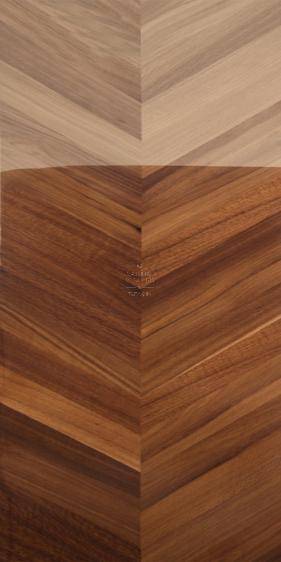 Tan Oak