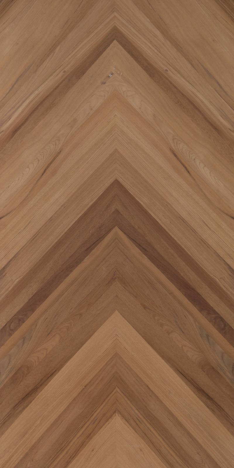 Teak