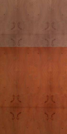 Medrona Burl
