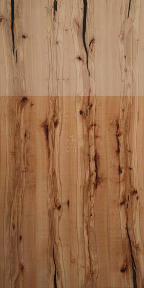 Spalted Beach
