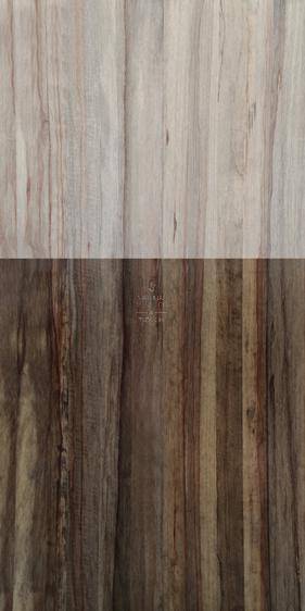 Black Locust