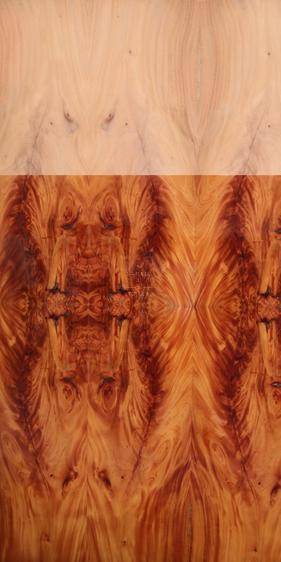 Redwood Crotch