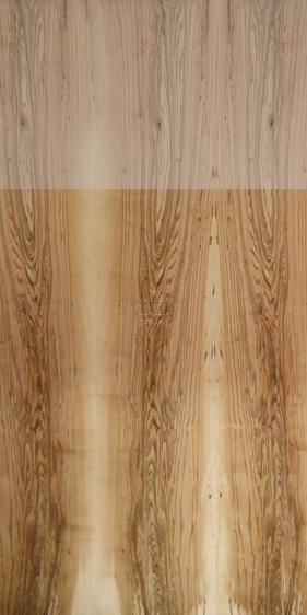 American Ash
