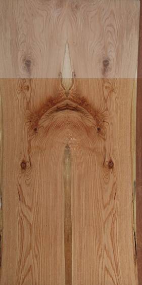 American Red Oak