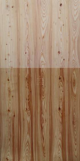 larch