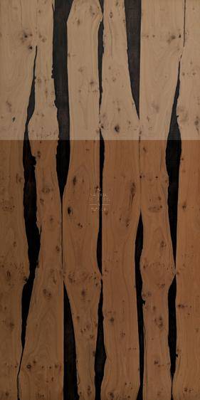 White Oak
