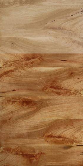 Indian Birch