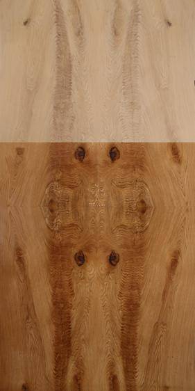 White Oak