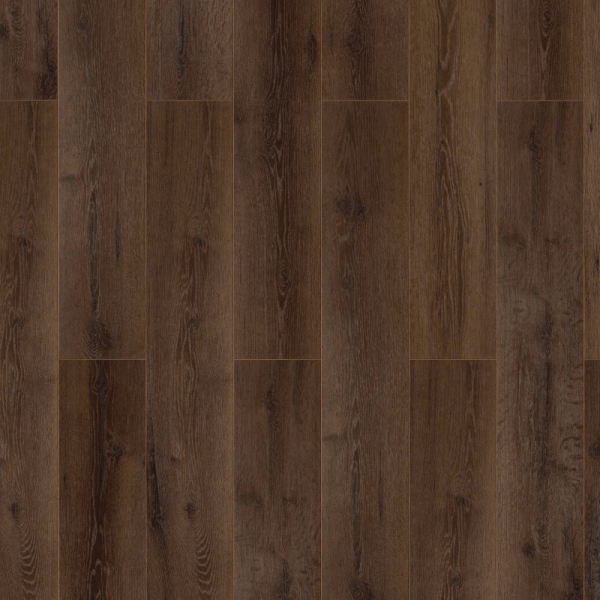 Abert Oak