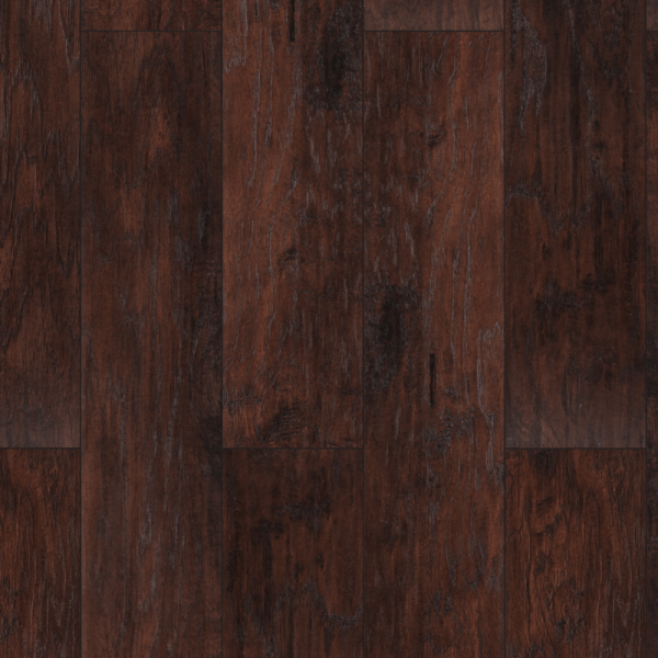 European Walnut