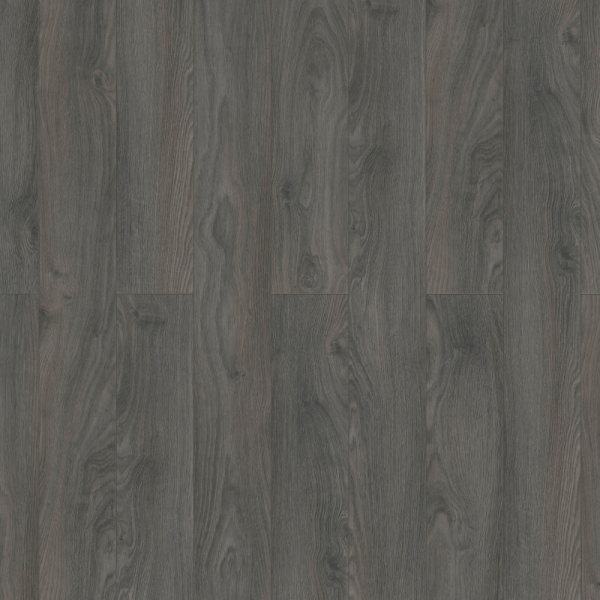 Bodega Oak Graphite