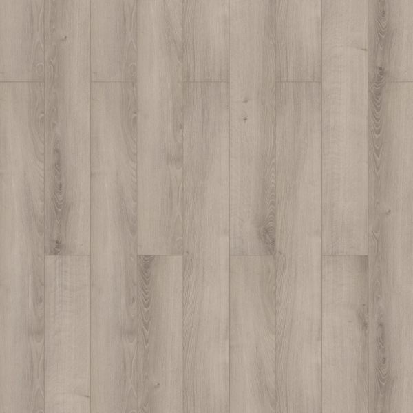 Iceland Pine