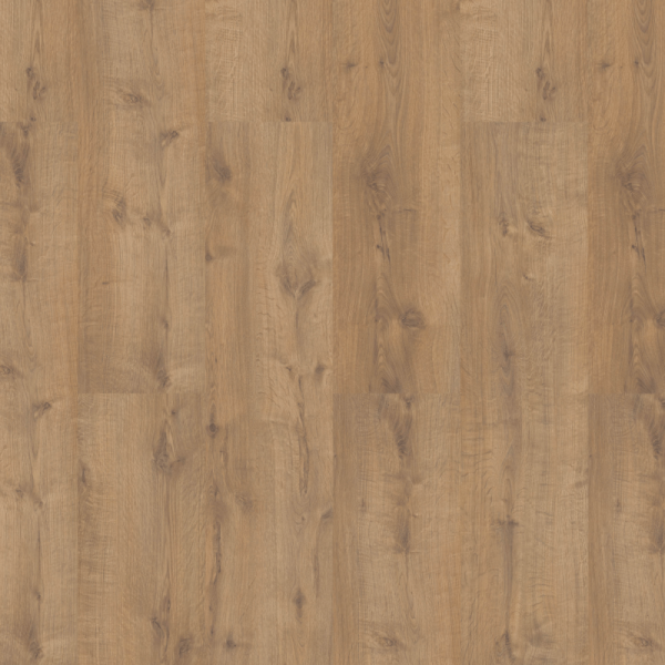 Bennet Oak