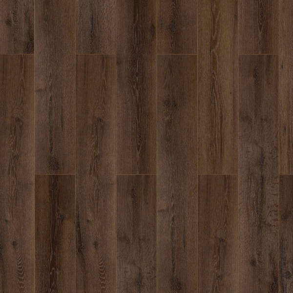 Abert Oak