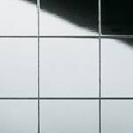 MS 20x20 flex Classic Silver