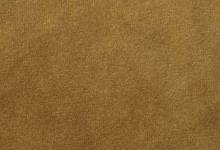 FL VELVET Curry