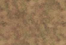 DM OXIDIZED Autumn AR