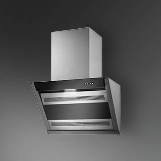 FORMA DX 60